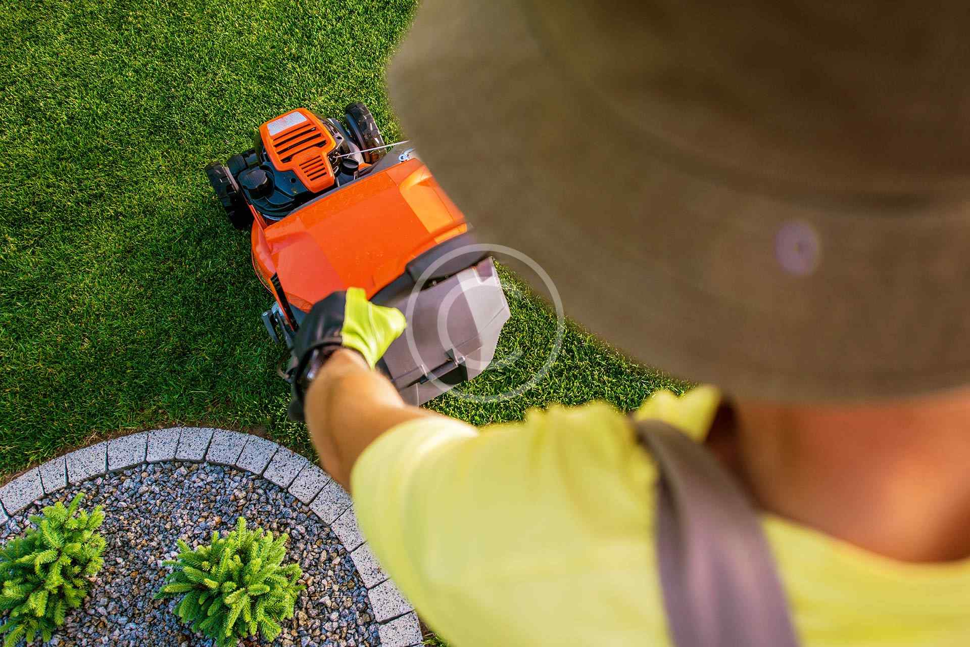 Weeds removal